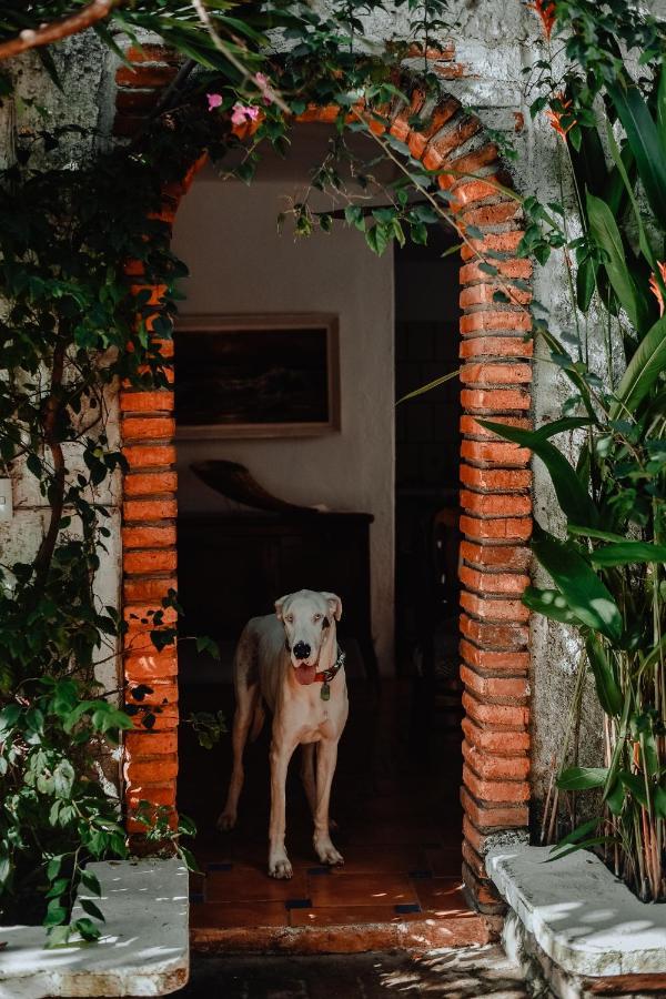 Hosteria Chata Adults Only Lo de Marcos Exterior photo